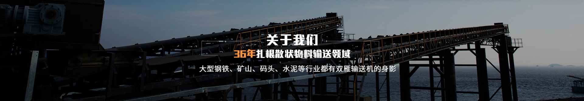 36年扎根散裝物料輸送領域